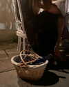 anaferflores Altpins Profile Picture