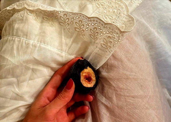 anaferflores instagram image archive image