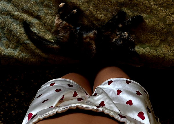 anaferflores instagram image archive image