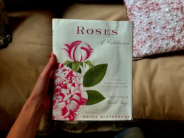 anaferflores instagram image archive image