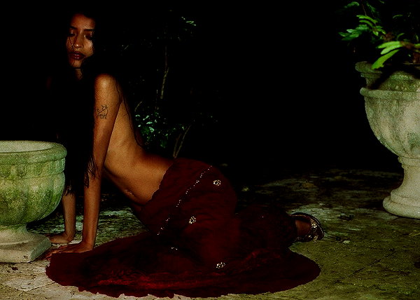 anaferflores instagram image archive image
