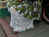 anaferflores Altpins Profile Picture