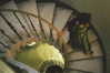 anaferflores Altpins Profile Picture