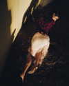 anaferflores Altpins Profile Picture