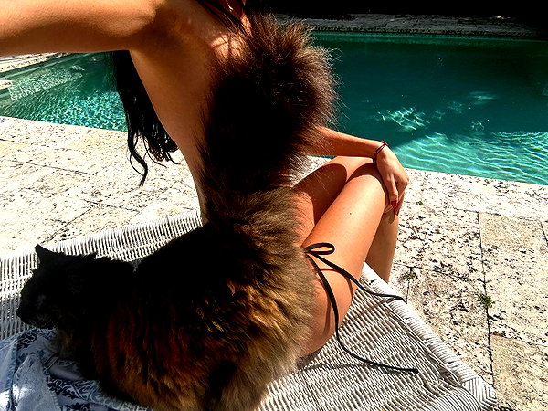 anaferflores instagram image archive image