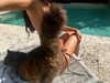 anaferflores Altpins Profile Picture