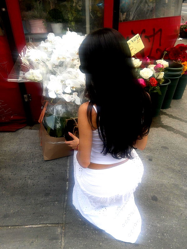 anaferflores instagram image archive image
