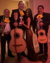 anaferflores Altpins Profile Picture