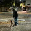 andifueente Altpins Profile Picture