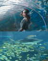 angelina.zhq Altpins Profile Picture