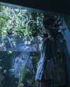 angelina.zhq Altpins Profile Picture