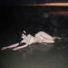 angxl.sky Altpins Profile Picture