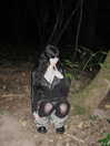 angxl.sky Altpins Profile Picture