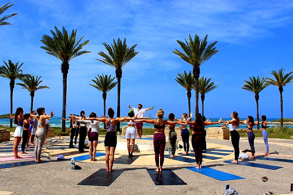 ani_retreat ani_retreat archive image
