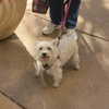 anika_braun__ Altpins Profile Picture