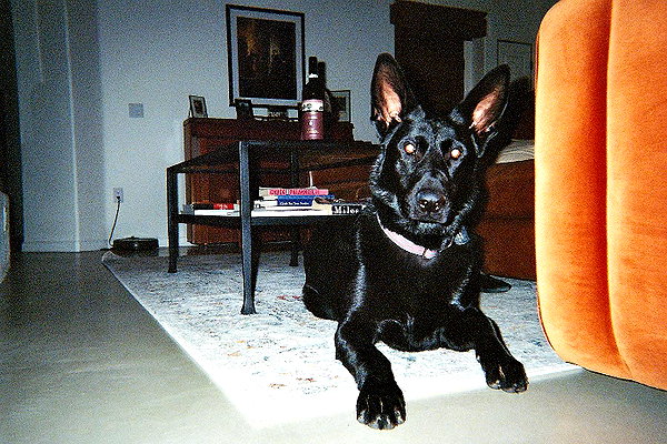 anika_braun__ instagram image archive image