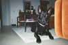 anika_braun__ Altpins Profile Picture