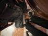 anika_braun__ Altpins Profile Picture