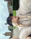 anika_braun__ Altpins Profile Picture