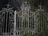anika_braun__ Altpins Profile Picture