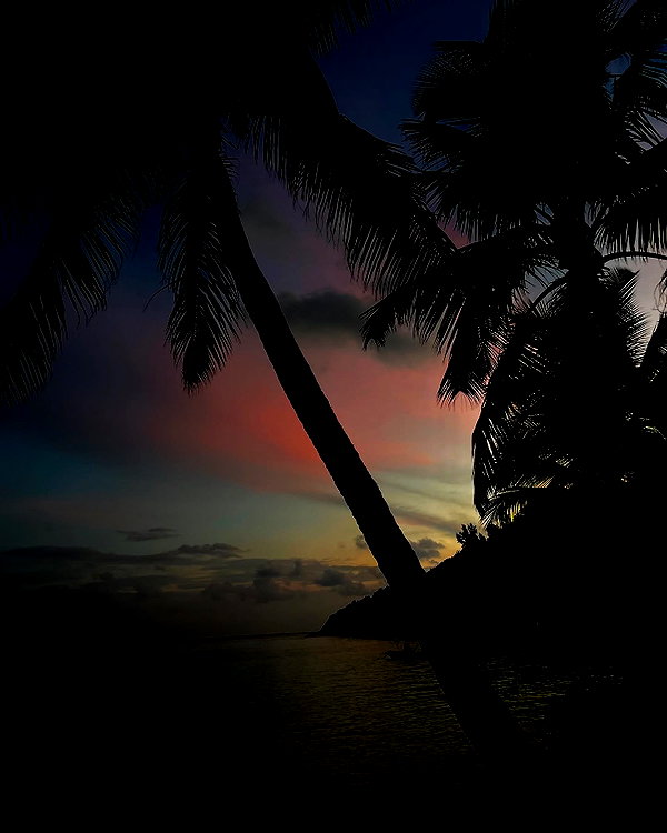 annazak12 instagram image archive image