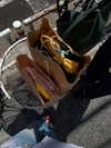 annazak12 Altpins Profile Picture