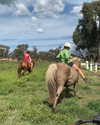anneliese.mitchell1 Altpins Profile Picture