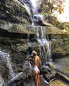 anneliese.mitchell1 Altpins Profile Picture