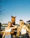 anneliese.mitchell1 Altpins Profile Picture