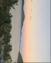 anneliese.mitchell1 Altpins Profile Picture