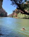 anneliese.mitchell1 Altpins Profile Picture