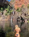 anneliese.mitchell1 Altpins Profile Picture