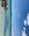 anneliese.mitchell1 Altpins Profile Picture