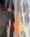 anneliese.mitchell1 Altpins Profile Picture