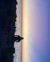 anneliese.mitchell1 Altpins Profile Picture