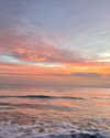 anneliese.mitchell1 Altpins Profile Picture