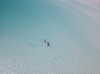 anneliese.mitchell1 Altpins Profile Picture