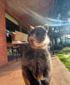 anneliese.mitchell1 Altpins Profile Picture