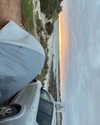 anneliese.mitchell1 Altpins Profile Picture