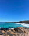 anneliese.mitchell1 Altpins Profile Picture