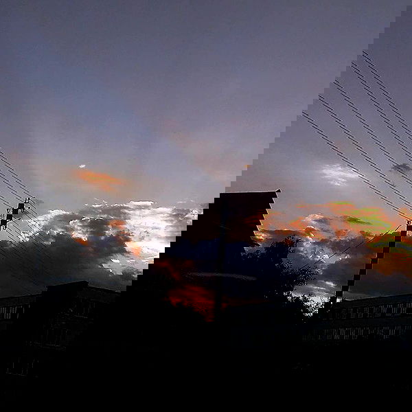 annfigma annfigma archive image