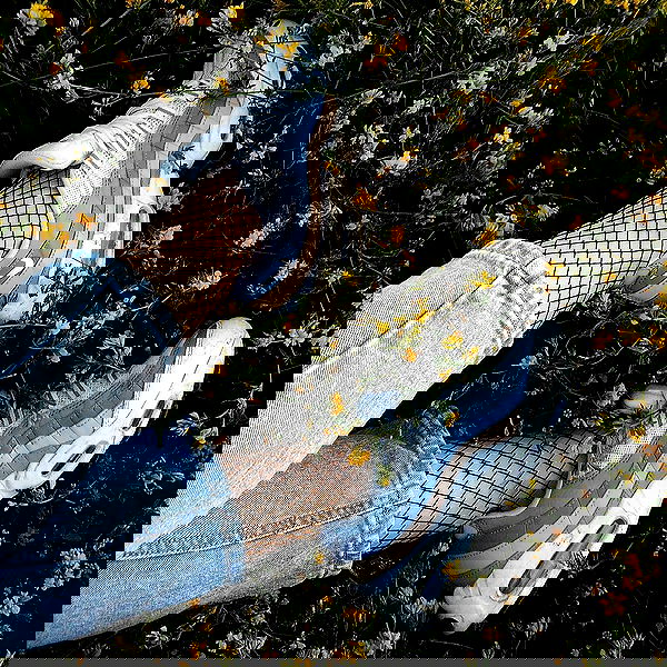 annfigma annfigma archive image