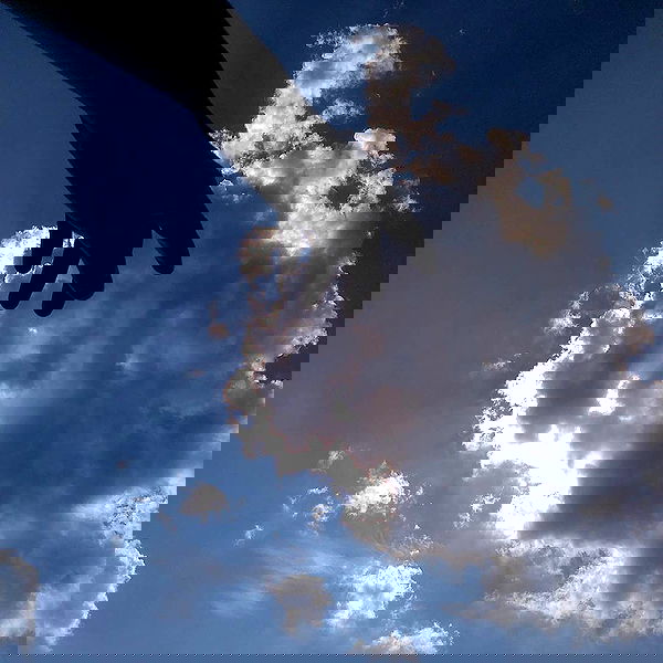 annfigma annfigma archive image