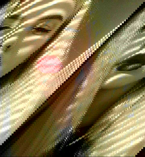 annfigma annfigma archive image