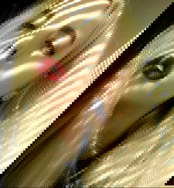 annfigma annfigma archive image