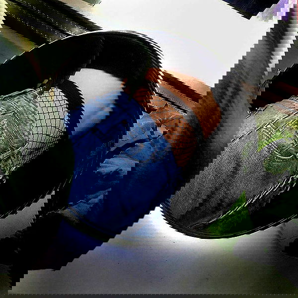 annfigma annfigma archive image