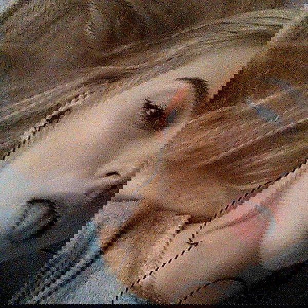 annfigma annfigma archive image