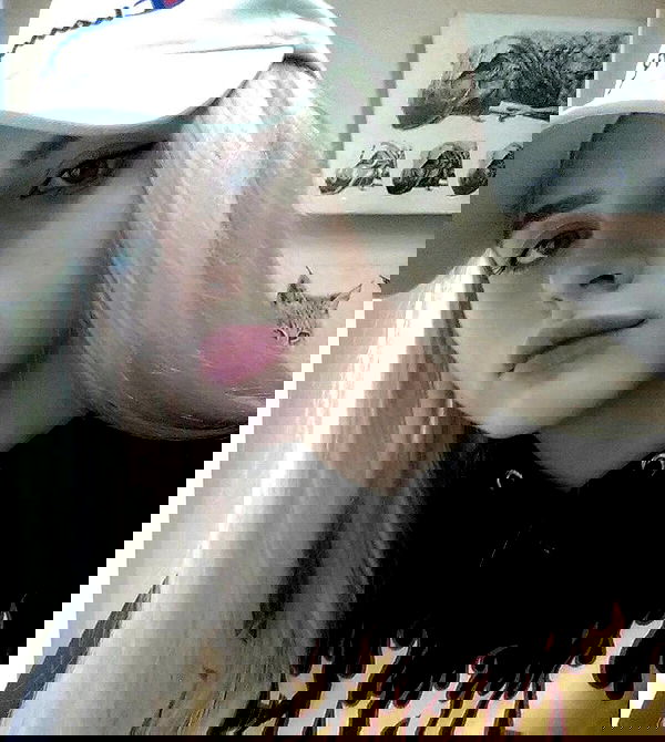 annfigma annfigma archive image