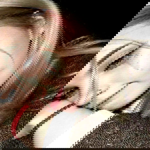 annfigma annfigma archive image