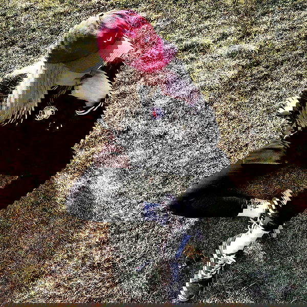 annfigma annfigma archive image